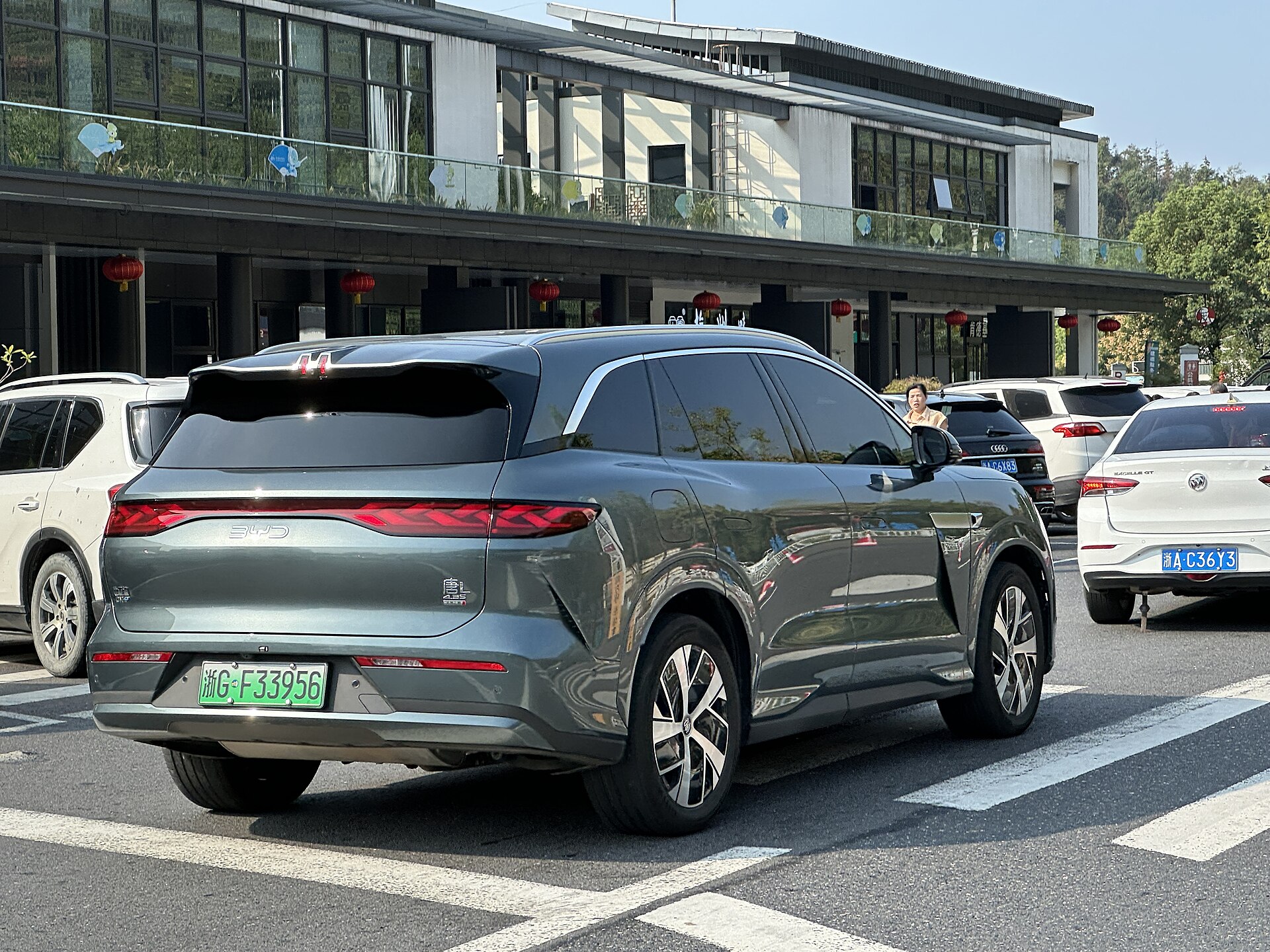 Photograph of BYD Sealion 8